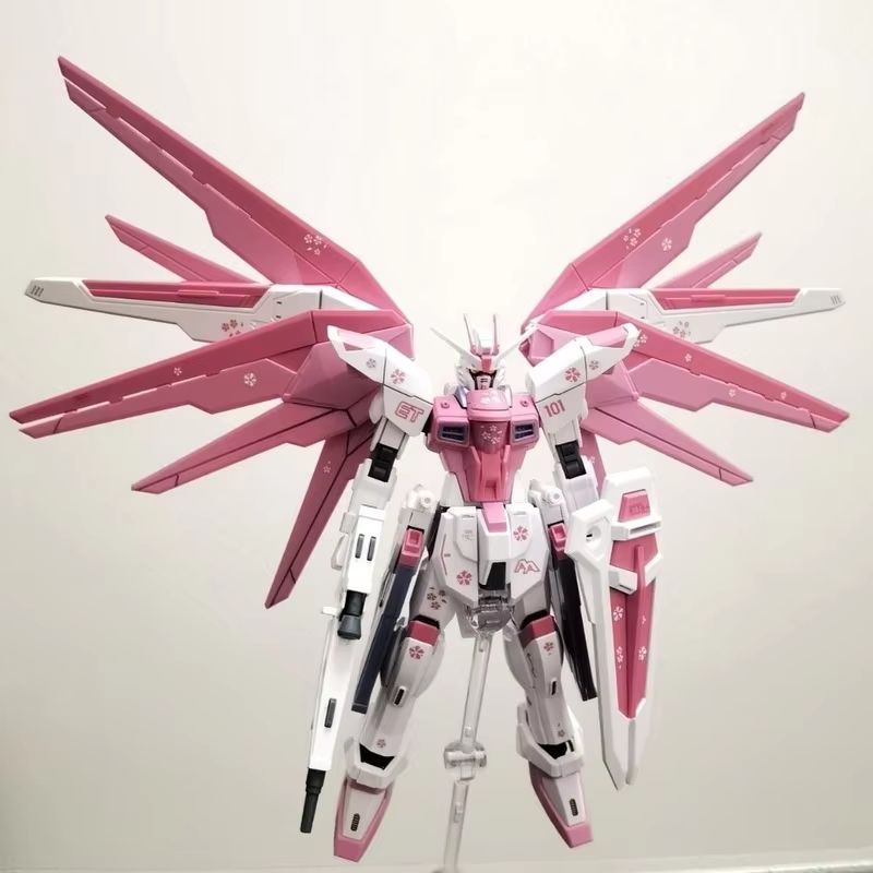 JMS HG 1/144 ZY-06 Freedom Ass - Bandai Gundam Hg review and price